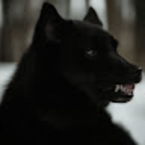 Meet your Posher, Candy